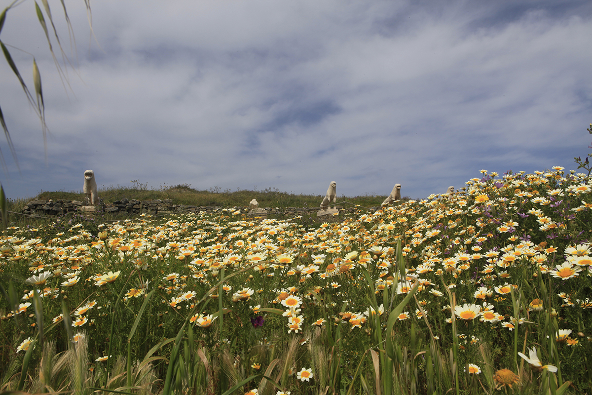 Delos, Natur